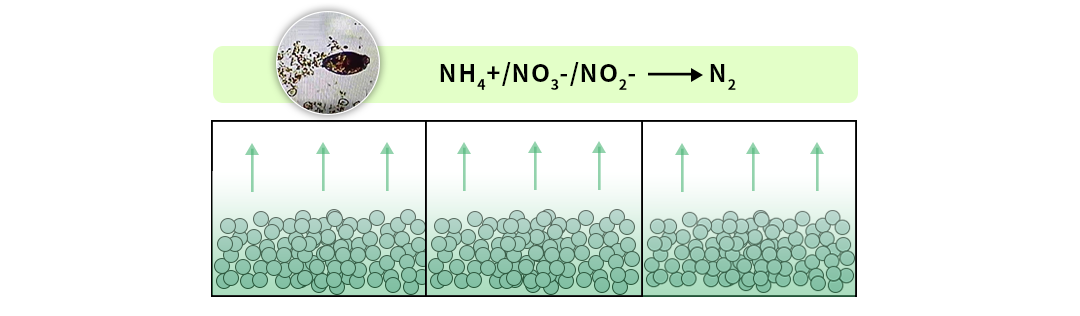 食品工業廢水處理中影響反硝化的主要因素