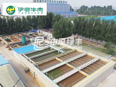 伊賽牛肉(博愛分廠)1500m3/d廢水處理案例