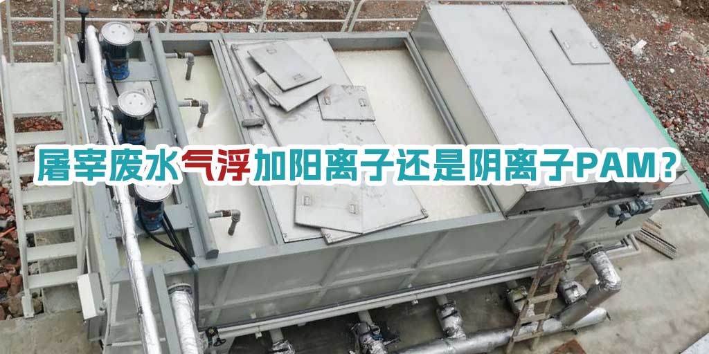 屠宰廢水氣浮加陽離子還是陰離子PAM？