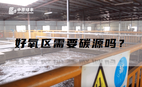 屠宰污水處理好氧區(qū)需要碳源嗎?