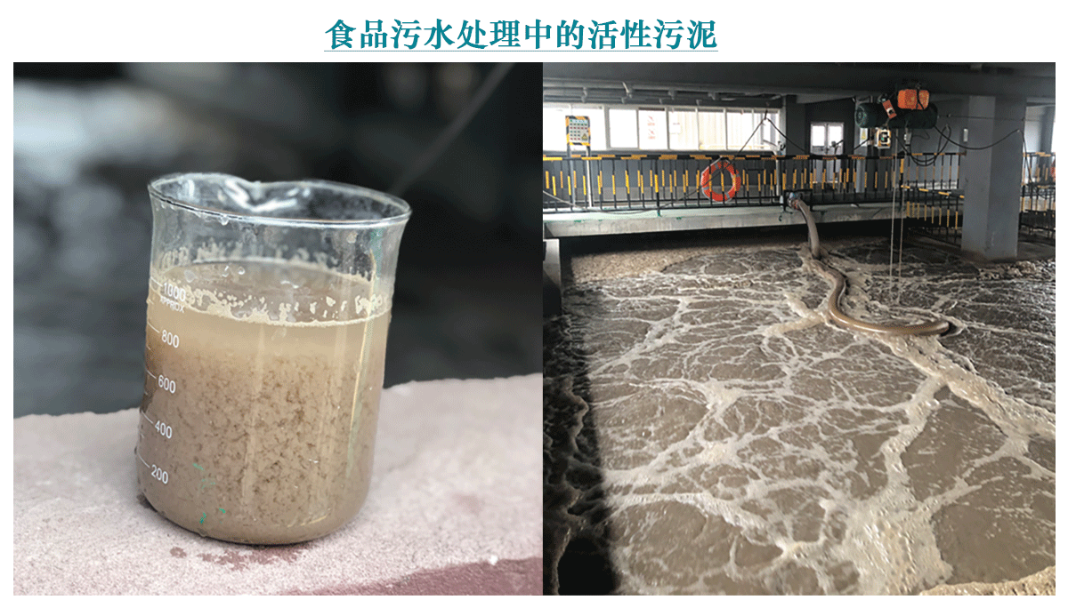 食品污水處理中污泥利用1-中原綠豐環保